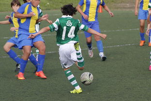 开云全站下载-莱昂纳多被上海申花主教练瞧不上,谁相信?如今在中超大杀四方,你们认为呢?