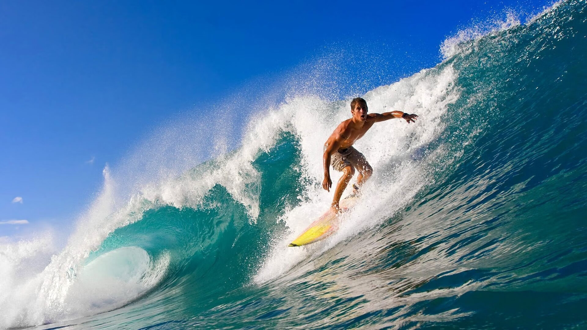 开云体育在线入口-中国篮球的梦想正在生根发芽，中国篮球的希望在哪里